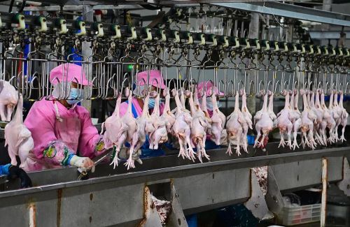 儿是女性责任这会降低女性职场竞争力你怎么看?AG真人国际网站有人质疑“妈妈岗”是默认育(图1) 儿是女性责任这会降低女性职场竞争力你怎么看?AG真人国际网站有人质疑“妈妈岗”是默认育(图1)